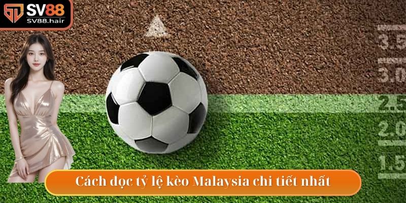 Kèo Malaysia - Tỷ Lệ Cá Cược Vô Cùng Hấp Dẫn Trong Bóng Đá 3 Cách đọc tỷ lệ kèo Malaysia chi tiết hàng đầu